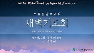 2024.6.5(수) [새벽기도회] \