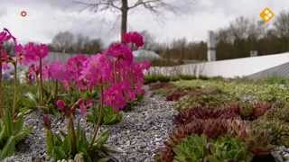 Beatrix opent Floriade 2012 Venlo / opening Floriade      NOS op 1