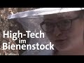 Daten und Honig - Forschung mit Bienen und dem digitalen Bienenstock | Schwaben + Altbayern | BR