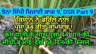 Pusa 44 cultivation with DSR technique by SherGill