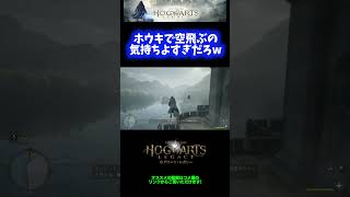 【神ゲー】ホウキで空飛ぶの気持ち良すぎだろwwwww【ホグワーツ レガシー/Hogwarts Legacy】 #Shorts