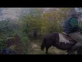 🐎 galloping adventures discover belogradchik s wonders on horseback 🏞️ bulgaria bulgariatours