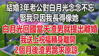 結婚三年老公對白月光念念不忘，娶我只因我長得像她，白月光回國當天渣男就提出離婚，我送上祝福轉身離開，三個月後渣男跪求原諒 #爽文 #情感故事 #愛情 #深夜讀書#為人處世#人生感想#幸福人生#深夜讀書