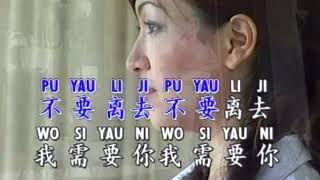 NAN TAU SE CE CAI MONG LI KARAOKE NO VOCAL