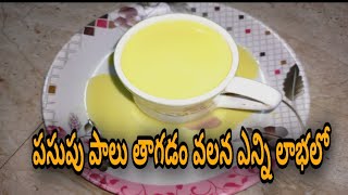 పసుపు పాలు తాగడం వల్ల వచ్చే బెనిఫిట్స్ ||గోల్డెన్ మిల్క్||weight loss golden milk recipe