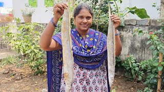 #తాటాకు చాప ఫ్రై#suma natural food# village cooking#