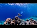 Under the Sea Easter Moments | Velaa Private Island Maldives