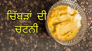 ਚਿੱਬੜਾਂ ਦੀ ਚਟਨੀ ਬਨਾਉਣ ਦਾ ਸਬ ਤੋਂ ਆਸਾਨ ਤਰੀਕਾ | Chibbar Chutney Recipe