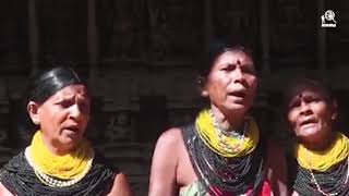 Halakki vokkaliga Janpad- Tribal song of the Halakki Vokkaliga Community, Karnataka