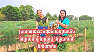 គ្រួសារមួយនេះកំពុងតែសប្បាយកើបចំណូលជារៀងរាល់ថ្ងៃ ជាមួយការដាំទំពាំងបារាំង