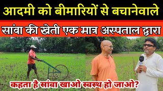 बीमारियों से बचानेवाले :सांवा की खेती अस्पताल‌ द्वारा। Sanwa ki Kheti kaise Karenge। barnyard millet