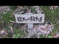 塩浸温泉裏山の龍馬とお龍の散歩道入口20180407