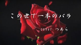 この世で一本のバラ／すぎもとまさと　Cover　つあら