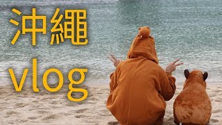 ［日本旅行］沖繩不自駕玩法 / vlog#5 / 邦尼小璦玩玩玩