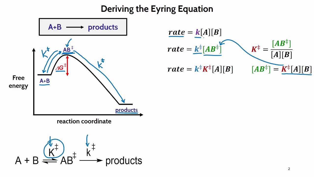 Derivation Of The Eyring Equation - YouTube