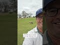 Hyena Stalks Player on South African Golf Course #shorts