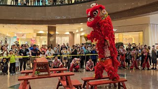 【世界獅王】新加坡藝威體育會 Singapore Yiwei Lion Dance Performances at Ngee Ann City 31/01/25