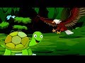 Hawk and their Friends | The Tortoise and The Eagle - Jungle Stories for Kids