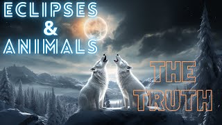 🌑 Do Eclipses Affect Pets❓ 🐺 | Animal's Behavior 🎶 #nasa #space #astronomy #pets #pet