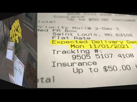 How long does it take standard mail from state to state?