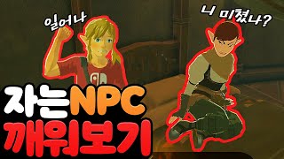 야숨 '강제로 깨울때' NPC들의 반응 모음 (젤다의 전설 야생의 숨결)