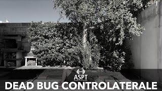 Dead bug controlaterale