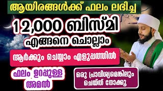 ആയിരങ്ങൾക്ക് ഫലം ലഭിച്ച 12000 ബിസ്മിയുടെ അമൽ എങ്ങനെ ചൊല്ലാം | സയ്യിദ് മുഹമ്മദ്‌ അർശദ് അൽ-ബുഖാരി