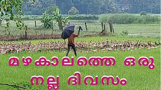 മഴയുള്ള ദിവസത്തെ Full day in my life vlog/#23