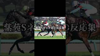 紫苑Sに関するネット民の反応集　#shorts #競馬 #紫苑ステークス    #クリスマスパレード  #horse #馬 #競走馬 #ボンドガール  #競馬反応集