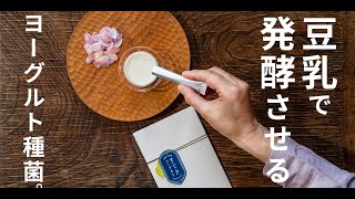 豆乳専用ヨーグルト種菌「すぐきヨーグルト」★大人気★ 無添加／ヴィーガン／腸活／美容健康／ダイエット  vegan soymilk yogurt starter suguki-yogurt japan