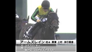 20241027 競馬ﾚｰｽﾄﾋﾟｯｸ　06【G1負けた川田さんは最終を勝つ説…】 '24ペルセウスS D1400 OP アームズレイン