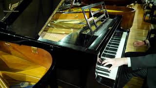 Blüthner Restored | Baby Grand Piano at Sherwood Phoenix