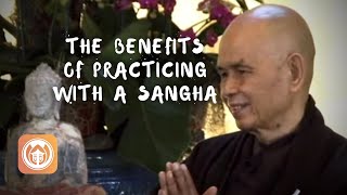 Sometimes I Disappoint Myself | Thich Nhat Hanh answers questions