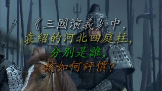 《三国演义》中，袁绍的河北四庭柱，分别是谁，该如何评价？