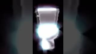 Polish Spinning Toilet