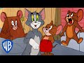 Tom et Jerry en Français 🇫🇷 | Le meilleur de Jerry la Souris 🐭🤎 | @WBKidsFrancais