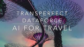 TransPerfect DataForce TRAVEL Solutions