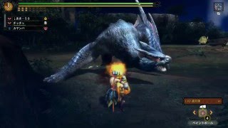 MH3G HD ver 村9  漆黒の影 カボチャ砲