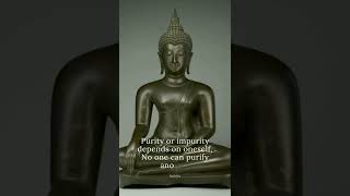 Buddha Quotes In English #buddha #quotes #buddhaquotes #buddhaquotes #shorts #viral #buddhateachings