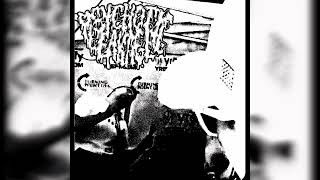 CATGOTYOURTOUNGE - PSYCHOTIC LEAKAGE