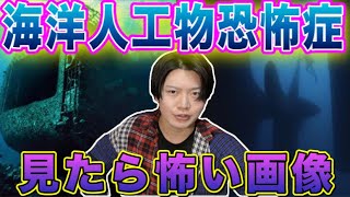 [恐怖症シリーズ]閲覧注意‼︎海洋人工物恐怖症の人が見たら怖い画像を見たらマヂで怖すぎたパート3