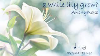 Have you seen but a white lily grow? Note-Learning Guide