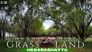 Hesaraghatta Grass Farm | One day trip | Bike ride | 30Kms from Bangalore | Nrityagrama | Vlog | 4k