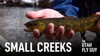 Utah Fly Fishing - Caught a bunch of beautiful fish at Hobble Creek on dry fly - TheUtahFlyGuys