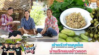 เปิดสูตร วิธีทำ น้ำพริกแมงข้าวตอก ที่กินกับอะไรก็อร่อย | ตามอำเภอจาน