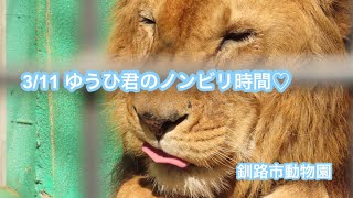 3/11 ゆうひ君のノンビリ時間♡