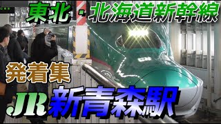 【新青森駅】東北新幹線＆北海道新幹線 発着集　2023/12/3