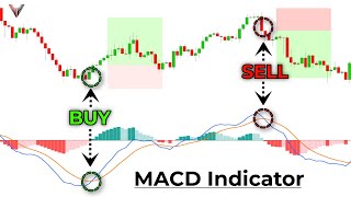 The MACD Indicator For Beginners [Become An Expert Immediately]