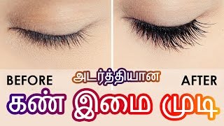 கண் இமை முடிகளை அடர்த்தியாக வளர செய்ய | How to grow eyelashes | Tamil Beauty Tips