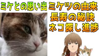 ミケ長寿の秘訣とネコ探し進捗【幕末志士/切り抜き】